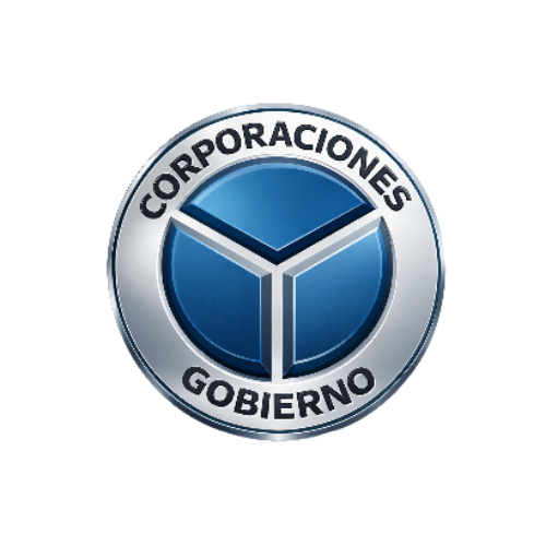 Corporaciones y Gobierno EIRL